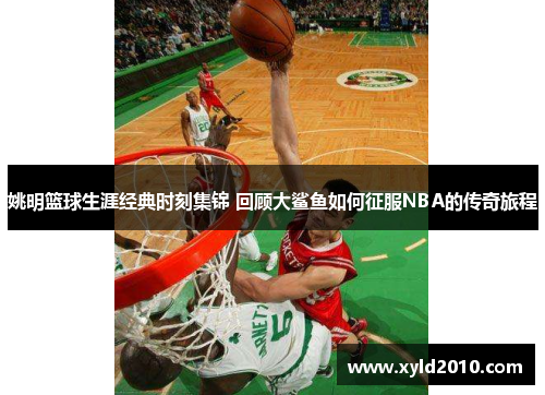 姚明篮球生涯经典时刻集锦 回顾大鲨鱼如何征服NBA的传奇旅程