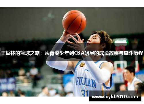 王哲林的篮球之路：从青涩少年到CBA明星的成长故事与奋斗历程